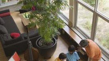 Get creative with your senior project.
