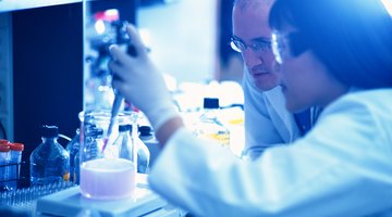 Bachelor's degrees in biology prepare students for a wide range of careers in education or the sciences.