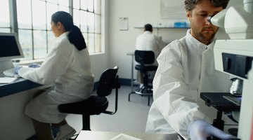 A bachelor's degree in chemistry provides the knowledge needed for course work at the graduate level.