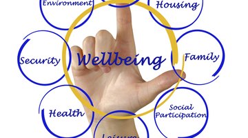 The ecological perspective is an organic and holistic way of viewing human experience.