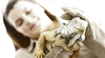 Zoology degrees can be rewarding, but contain sometimes difficult math and science courses.