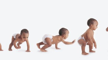 The baby boom occurred during the 1950s, when birth rates rose dramatically.
