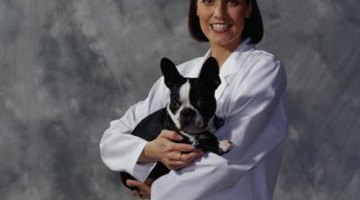Pre-veterinary students have to take calculus and statistics.