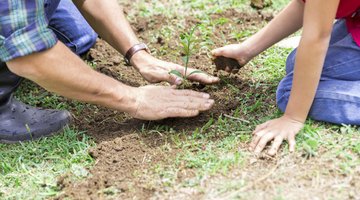 Planting a tree ensures that a class's legacy lives on for years to come.