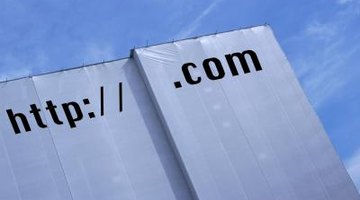 Web sources may not include page numbers.