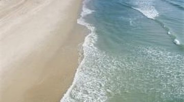 Several colleges are located along the Coastal Plains of North Carolina.
