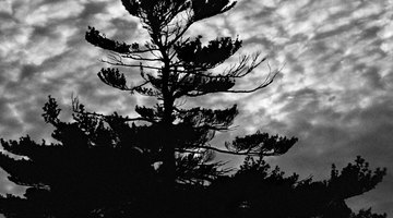 Weather patterns are only one of many areas of meteorological research.