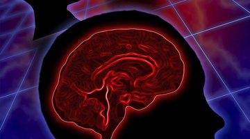 Critical thinking is the process of asking good questions about information encountered.