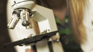 Taking advanced science courses is important for students who want to study medicine.