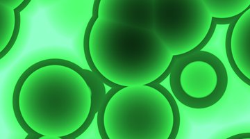 Various molecules diffuse across cell membranes.