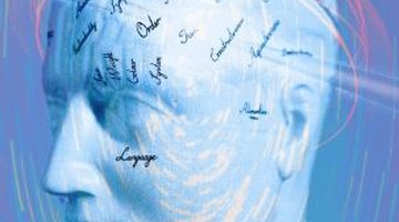 Studying brain damage, cognitive neuropsychologists seek to understand normal cognitive processes.