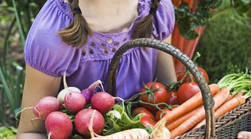 A healthy diet provides nutrients that promote brain function.