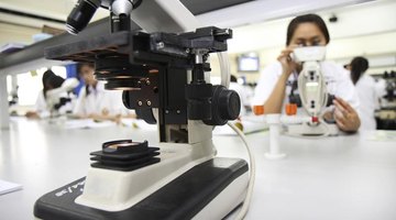 Most schools do not offer specific premed programs.