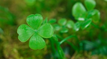Give a good-luck gift to a new restaurant owner.