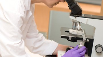 Merck grants fund several education programs and scholarship opportunities.