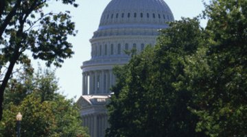 Congress exercises much of U.S. fiscal policy.