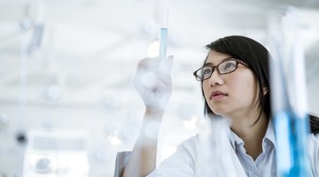 What Is the Function of the Hypothesis?