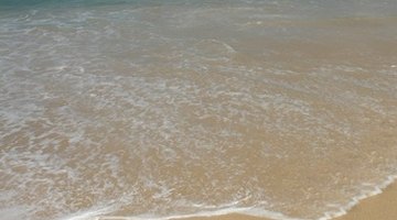 Take your students to the beach for a day of fun and sun.