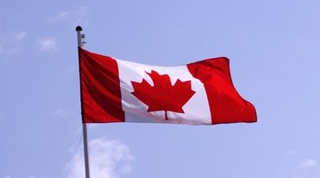 Canadian and American university degrees are very similar.