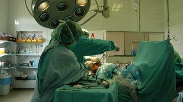 Perfusionist education options