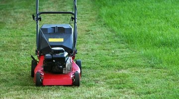 Learn to repair lawnmower engines at a trade school.