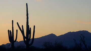 Arizona offers a provisional license to Texas teachers.