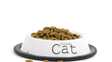 Example: The three cats' food spilled on the floor.