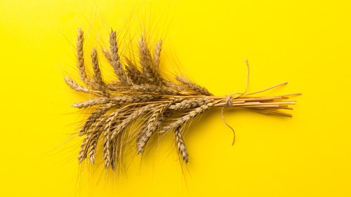 What Are Sheaves?